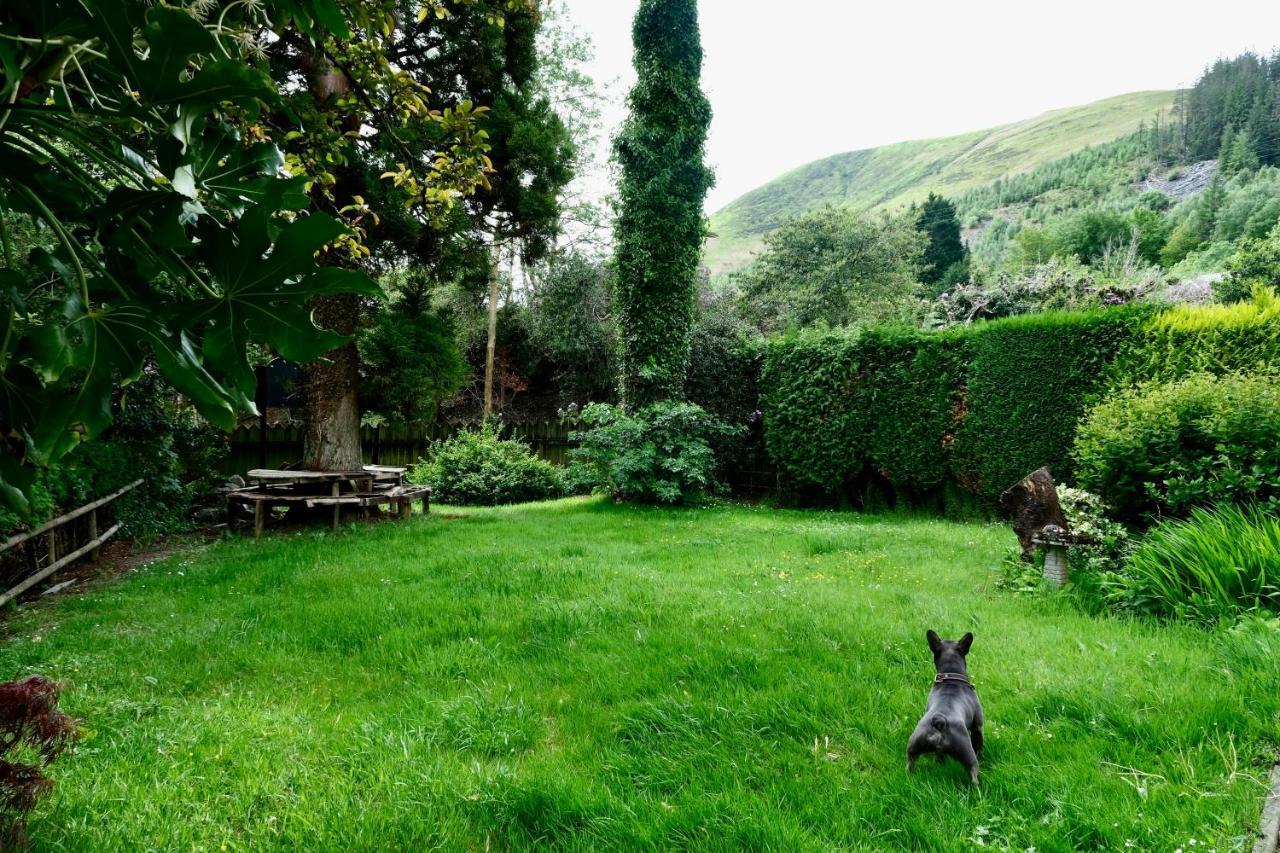 The Buckley Arms Otel Dinas Mawddwy Dış mekan fotoğraf